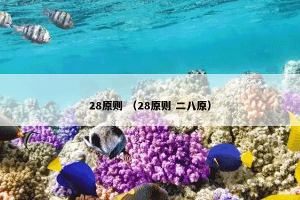 28原则 （28原则 二八原）