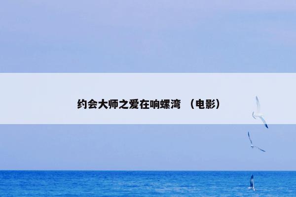 约会大师之爱在响螺湾 （电影）