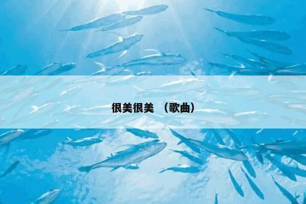 很美很美 （歌曲）