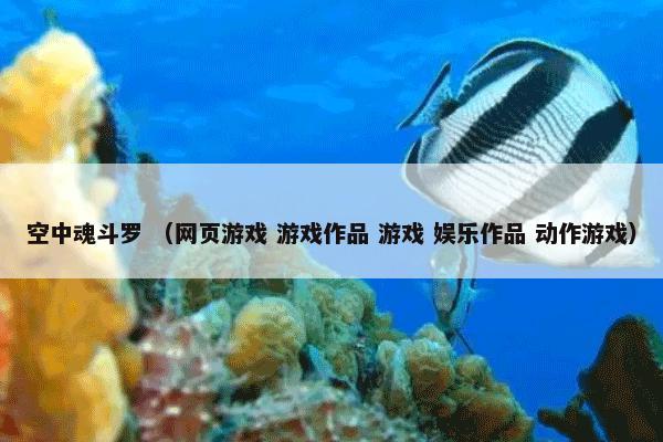 空中魂斗罗 （网页游戏 游戏作品 游戏 娱乐作品 动作游戏）