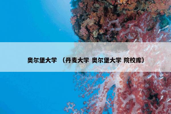 奥尔堡大学 （丹麦大学 奥尔堡大学 院校库）