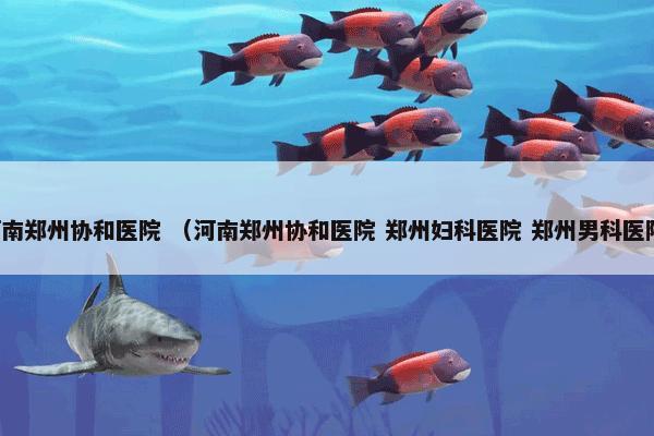 河南郑州协和医院 （河南郑州协和医院 郑州妇科医院 郑州男科医院）