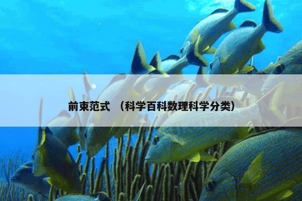 前束范式 （科学百科数理科学分类）