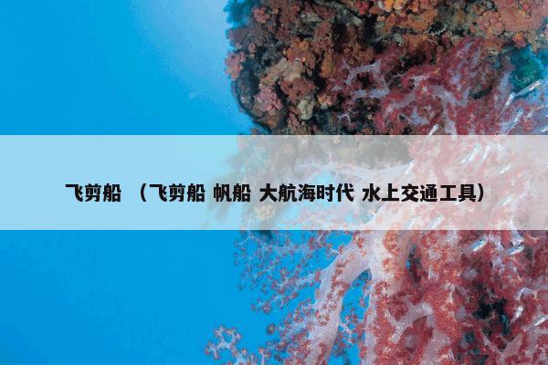 飞剪船 （飞剪船 帆船 大航海时代 水上交通工具）