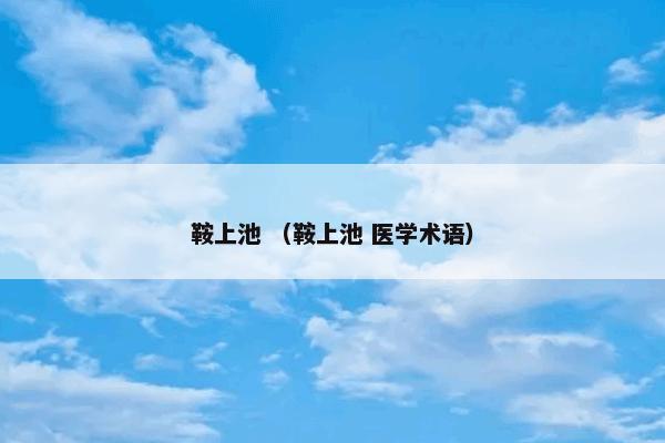 鞍上池 （鞍上池 医学术语）