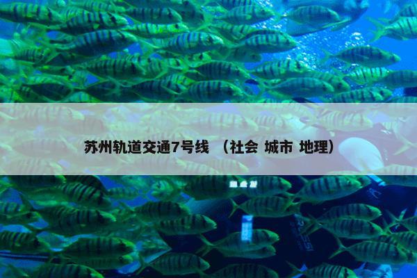 苏州轨道交通7号线 （社会 城市 地理）