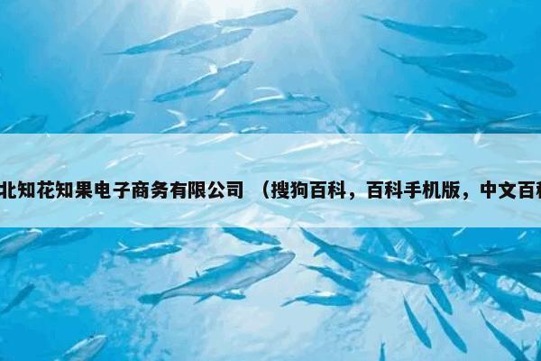 湖北知花知果电子商务有限公司 （搜狗百科，百科手机版，中文百科）