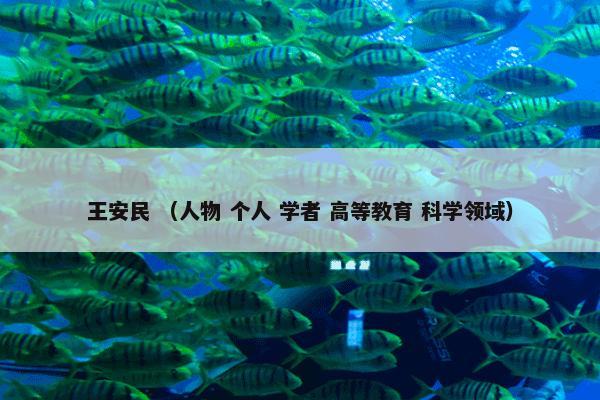 王安民 （人物 个人 学者 高等教育 科学领域）