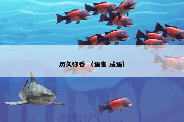 历久弥香 （语言 成语）
