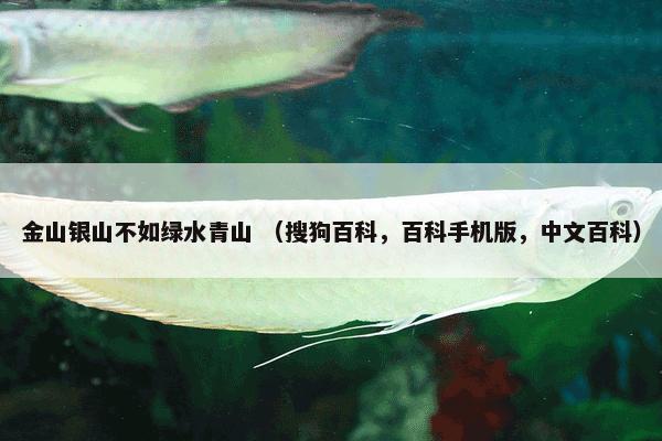 金山银山不如绿水青山 （搜狗百科，百科手机版，中文百科）