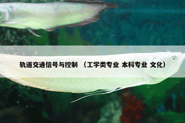 轨道交通信号与控制 （工学类专业 本科专业 文化）