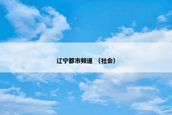 辽宁都市频道 （社会）