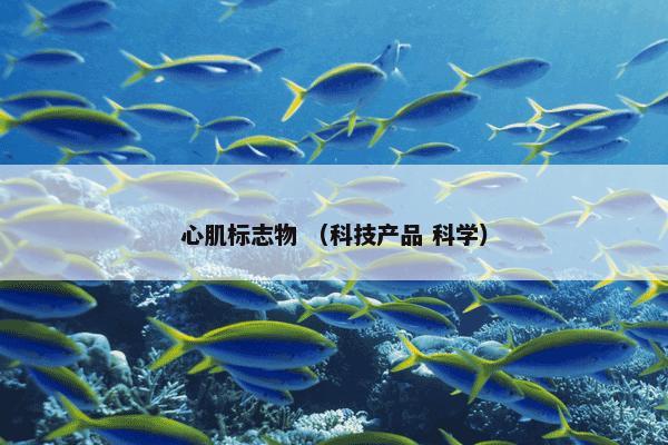 心肌标志物 （科技产品 科学）