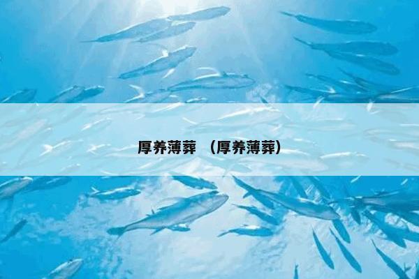 厚养薄葬 （厚养薄葬）