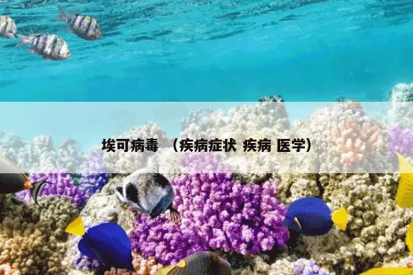埃可病毒 （疾病症状 疾病 医学）