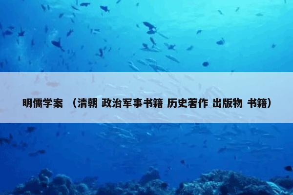 明儒学案 （清朝 政治军事书籍 历史著作 出版物 书籍）