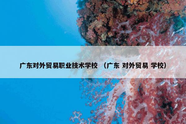 广东对外贸易职业技术学校 （广东 对外贸易 学校）