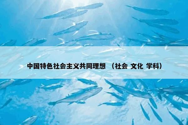 中国特色社会主义共同理想 （社会 文化 学科）