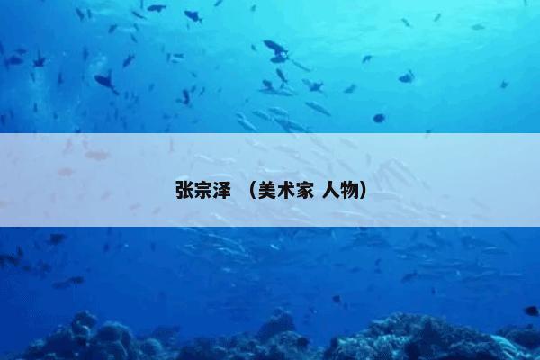 张宗泽 （美术家 人物）