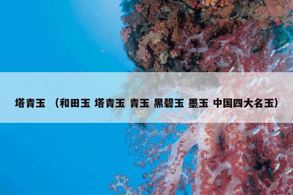 塔青玉 （和田玉 塔青玉 青玉 黑碧玉 墨玉 中国四大名玉）