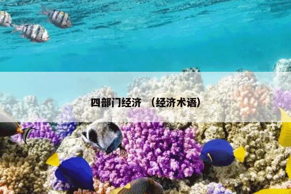 四部门经济 （经济术语）