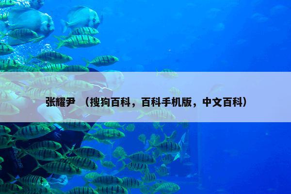 张耀尹 （搜狗百科，百科手机版，中文百科）