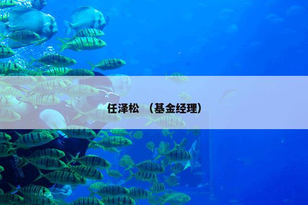 任泽松 （基金经理）