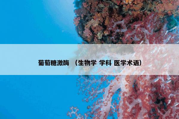 葡萄糖激酶 （生物学 学科 医学术语）
