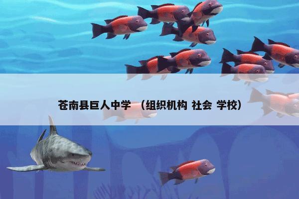 苍南县巨人中学 （组织机构 社会 学校）