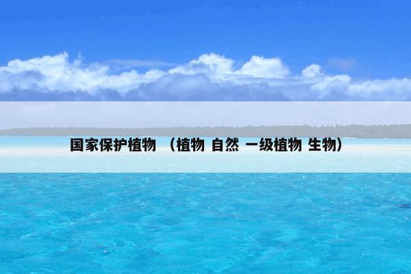 国家保护植物 （植物 自然 一级植物 生物）