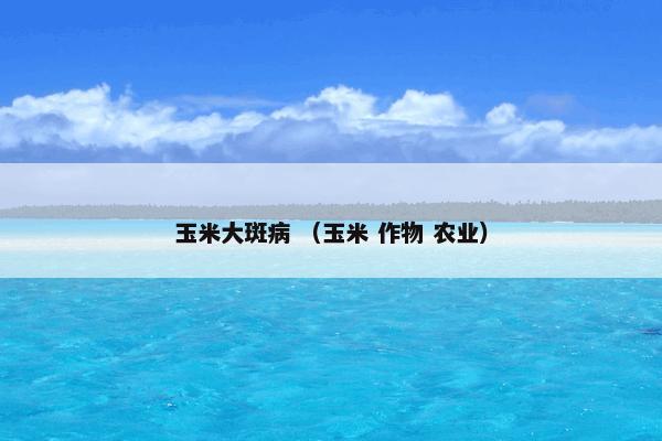 玉米大斑病 （玉米 作物 农业）