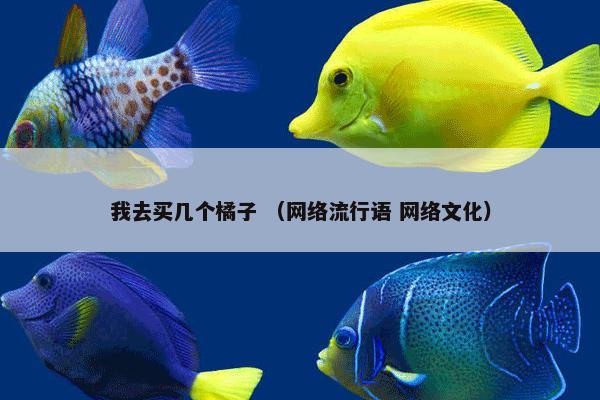 我去买几个橘子 （网络流行语 网络文化）