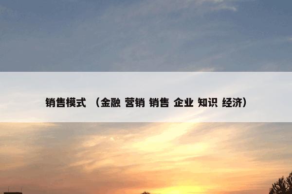 销售模式 （金融 营销 销售 企业 知识 经济）
