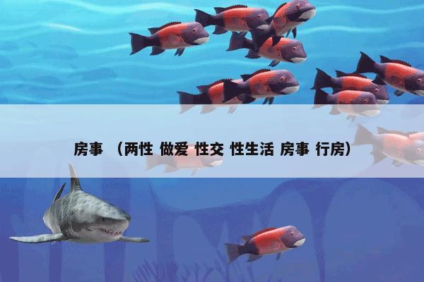 房事 （两性 做爱 性交 性生活 房事 行房）