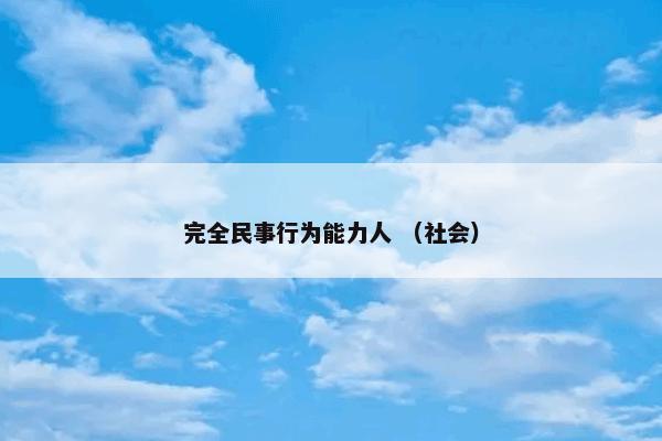 完全民事行为能力人 （社会）