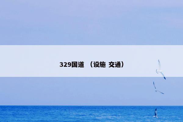 329国道 （设施 交通）