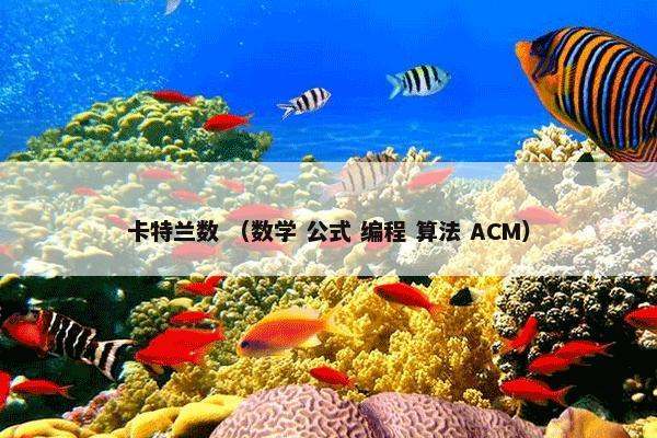 卡特兰数 （数学 公式 编程 算法 ACM）