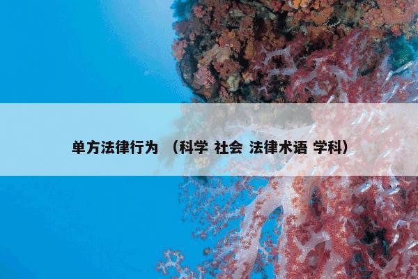 单方法律行为 （科学 社会 法律术语 学科）