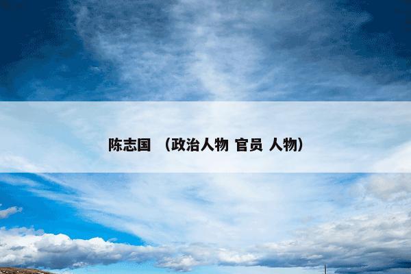 陈志国 （政治人物 官员 人物）