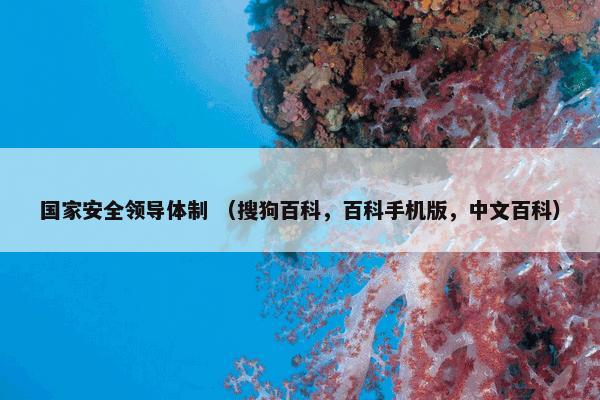 国家安全领导体制 （搜狗百科，百科手机版，中文百科）