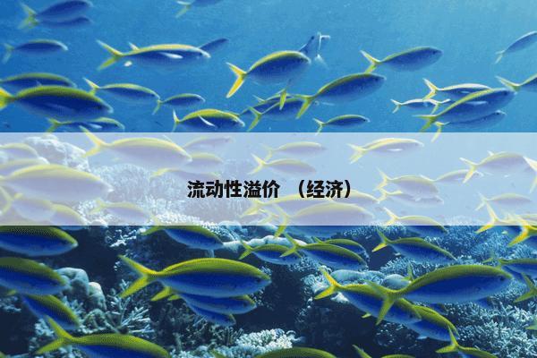 流动性溢价 （经济）