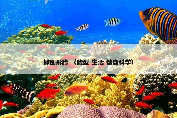 椭圆形脸 （脸型 生活 健康科学）