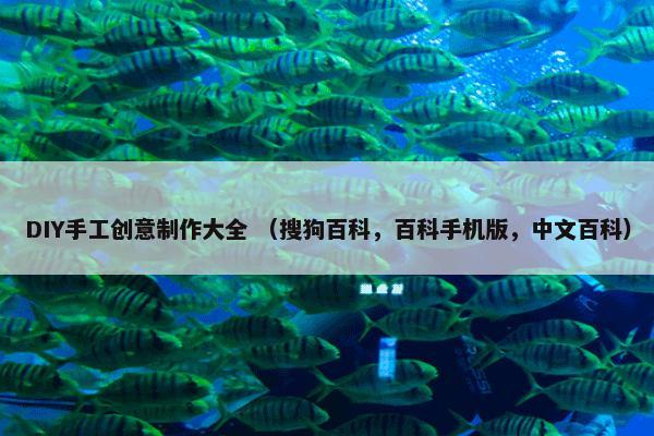 DIY手工创意制作大全 （搜狗百科，百科手机版，中文百科）