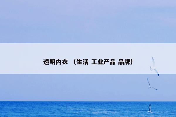 透明内衣 （生活 工业产品 品牌）