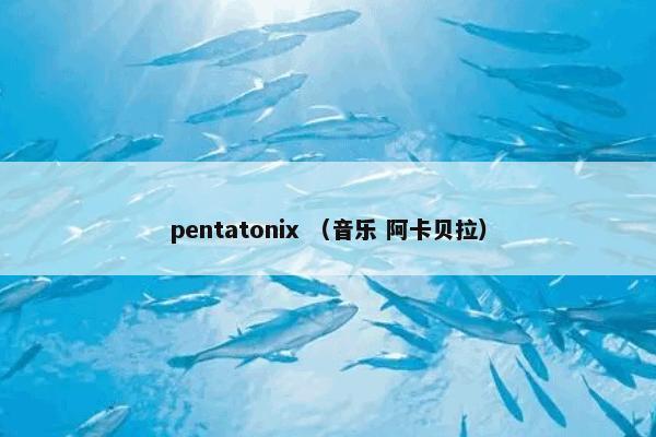 pentatonix （音乐 阿卡贝拉）