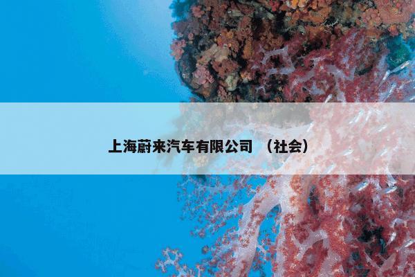 上海蔚来汽车有限公司 （社会）