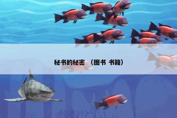 秘书的秘密 （图书 书籍）