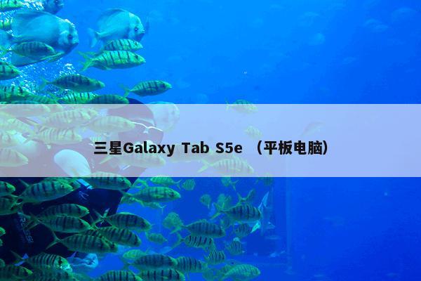 三星Galaxy Tab S5e （平板电脑）