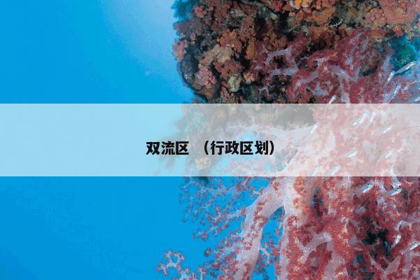 双流区 （行政区划）