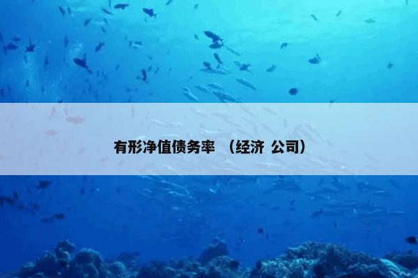 有形净值债务率 （经济 公司）